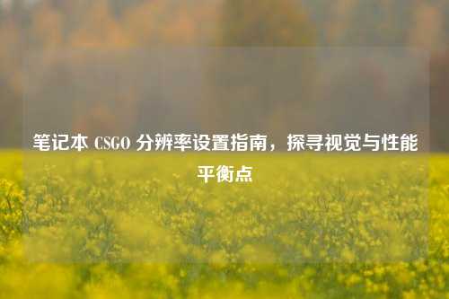 笔记本 CSGO 分辨率设置指南,探寻视觉与性能平衡点