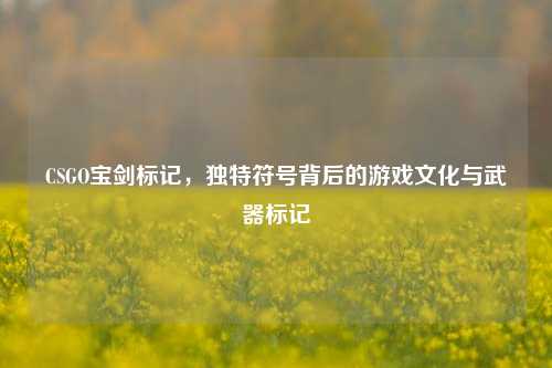 CSGO宝剑标记,独特符号背后的游戏文化与武器标记