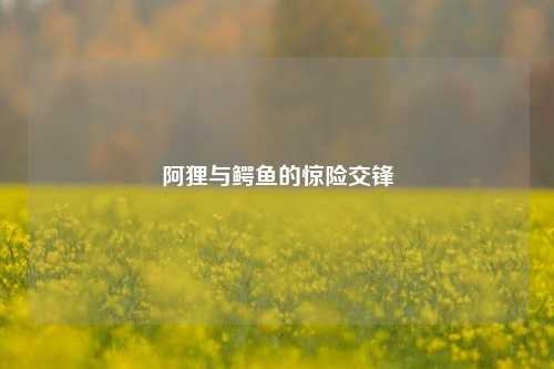 阿狸与鳄鱼的惊险交锋