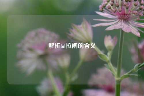 解析lol拉闸的含义