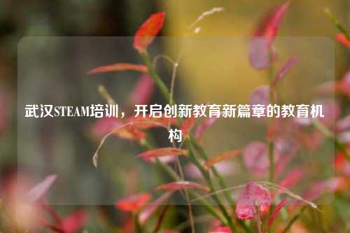 武汉STEAM培训，开启创新教育新篇章的教育机构