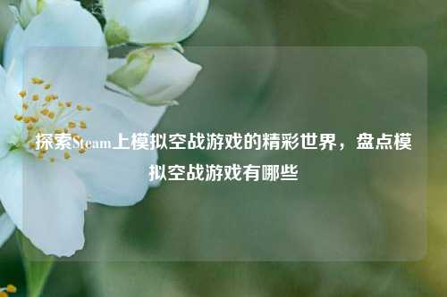 探索Steam上模拟空战游戏的精彩世界,盘点模拟空战游戏有哪些