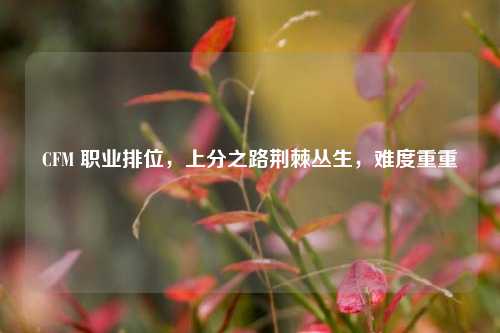 CFM 职业排位，上分之路荆棘丛生，难度重重