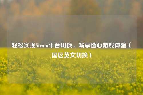 轻松实现Steam平台切换,畅享随心游戏体验(国区英文切换)