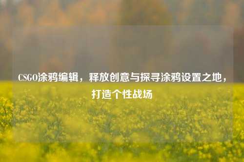 CSGO涂鸦编辑，释放创意与探寻涂鸦设置之地，打造个性战场