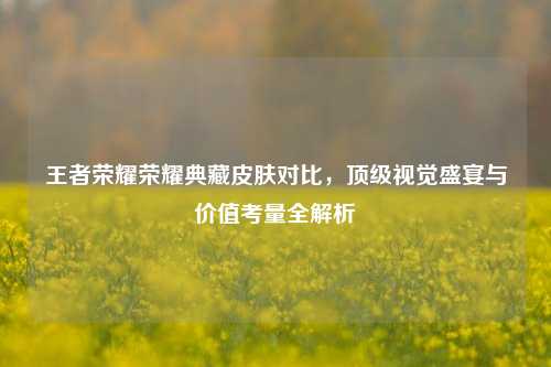 王者荣耀荣耀典藏皮肤对比，顶级视觉盛宴与价值考量全解析