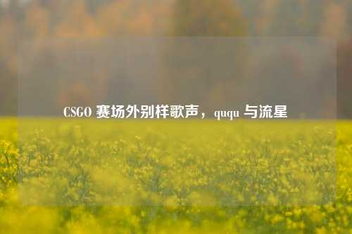 CSGO 赛场外别样歌声，ququ 与流星