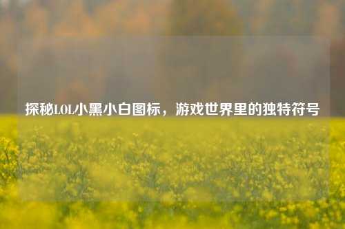 探秘LOL小黑小白图标,游戏世界里的独特符号