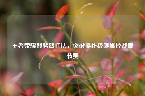 王者荣耀麒麟臂打法，突破操作极限掌控战局节奏