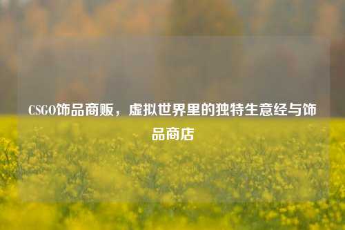 CSGO饰品商贩,虚拟世界里的独特生意经与饰品商店