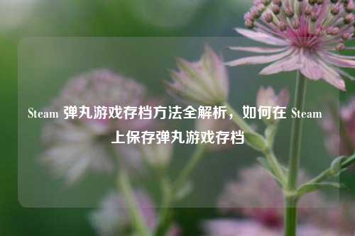 Steam 弹丸游戏存档方法全解析，如何在 Steam 上保存弹丸游戏存档