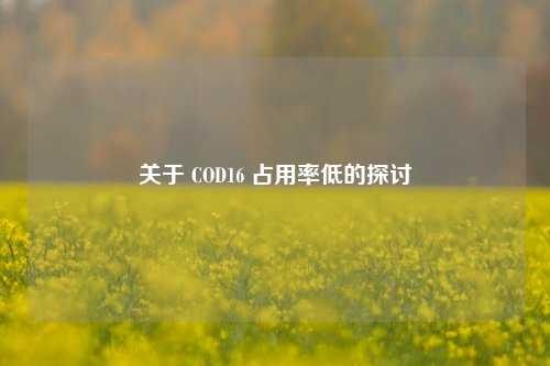关于 COD16 占用率低的探讨