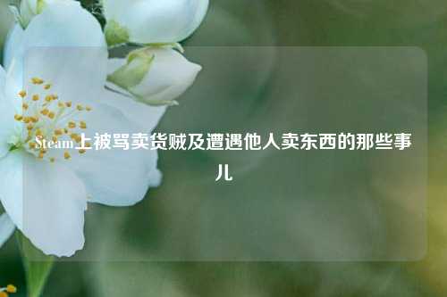 Steam上被骂卖货贼及遭遇他人卖东西的那些事儿