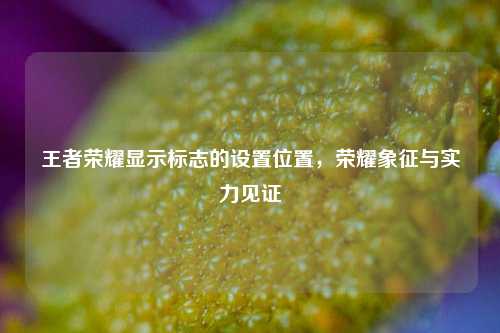 王者荣耀显示标志的设置位置,荣耀象征与实力见证