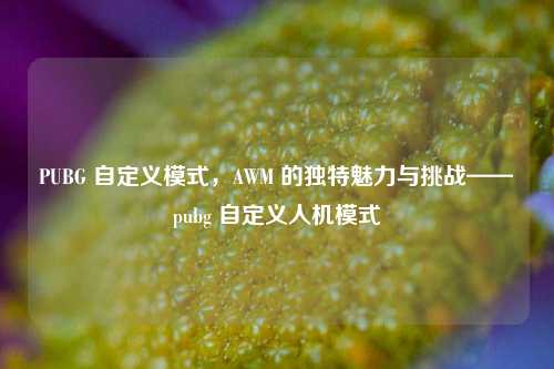 PUBG 自定义模式，AWM 的独特魅力与挑战——pubg 自定义人机模式