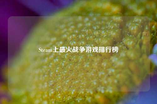 Steam上最火战争游戏排行榜