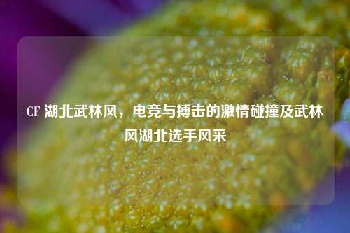 CF 湖北武林风,电竞与搏击的激情碰撞及武林风湖北选手风采
