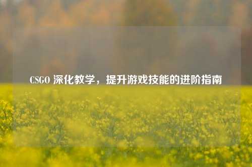 CSGO 深化教学，提升游戏技能的进阶指南