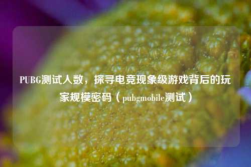 PUBG测试人数，探寻电竞现象级游戏背后的玩家规模密码（pubgmobile测试）