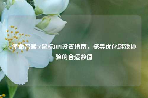 使命召唤16鼠标DPI设置指南,探寻优化游戏体验的合适数值
