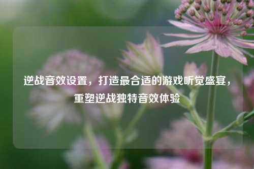 逆战音效设置,打造最合适的游戏听觉盛宴,重塑逆战独特音效体验