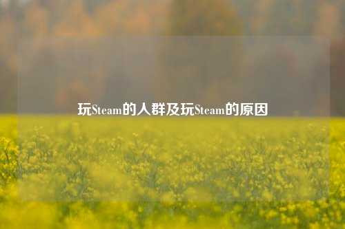 玩Steam的人群及玩Steam的原因