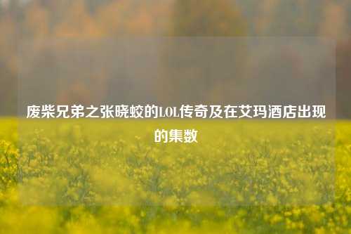废柴兄弟之张晓蛟的LOL传奇及在艾玛酒店出现的集数
