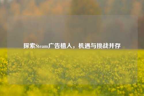 探索Steam广告植入,机遇与挑战并存