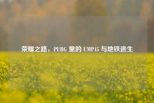 荣耀之路，PUBG 里的 UMP45 与地铁逃生