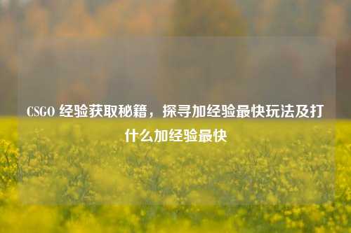 CSGO 经验获取秘籍，探寻加经验最快玩法及打什么加经验最快