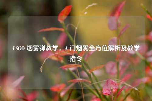 CSGO 烟雾弹教学,A 门烟雾全方位解析及教学指令