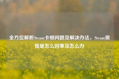 全方位解析Steam卡顿问题及解决办法，Steam很慢是怎么回事及怎么办