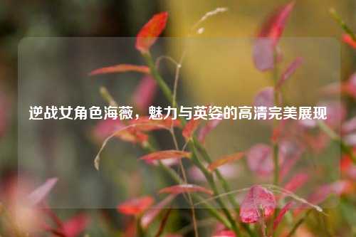 逆战女角色海薇,魅力与英姿的高清完美展现