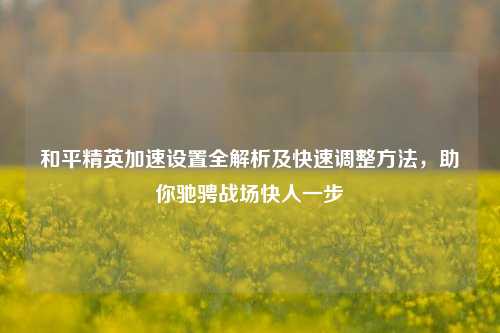 和平精英加速设置全解析及快速调整方法，助你驰骋战场快人一步