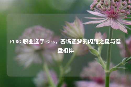 PUBG 职业选手 Giao，赛场逐梦的闪耀之星与键盘相伴