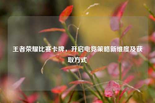 王者荣耀比赛卡牌，开启电竞策略新维度及获取方式