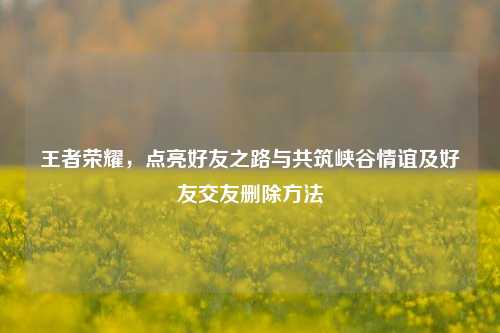 王者荣耀，点亮好友之路与共筑峡谷情谊及好友交友删除方法