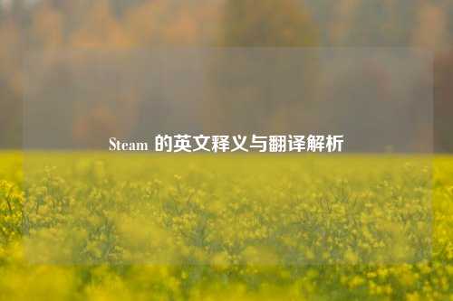 Steam 的英文释义与翻译解析