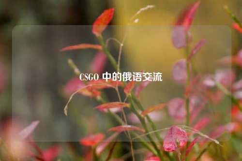 CSGO 中的俄语交流