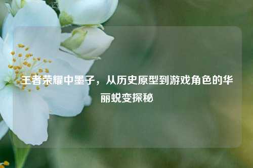 王者荣耀中墨子,从历史原型到游戏角色的华丽蜕变探秘
