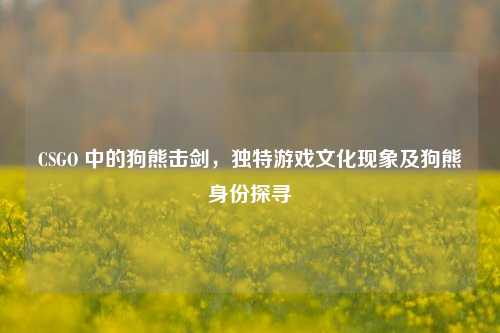 CSGO 中的狗熊击剑,独特游戏文化现象及狗熊身份探寻