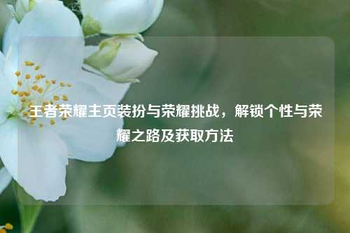 王者荣耀主页装扮与荣耀挑战，解锁个性与荣耀之路及获取方法