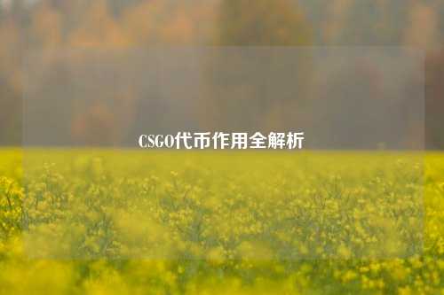 CSGO代币作用全解析
