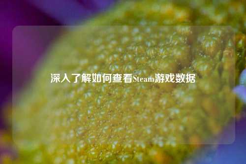 深入了解如何查看Steam游戏数据