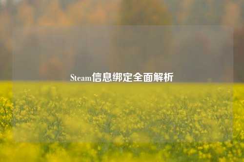 Steam信息绑定全面解析