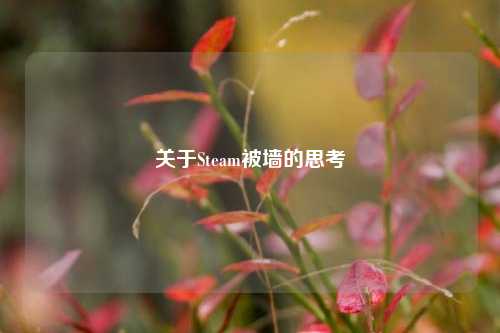 关于Steam被墙的思考