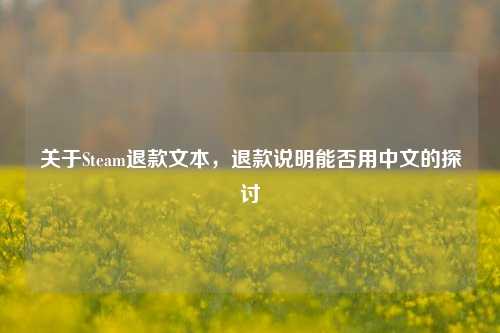 关于Steam退款文本,退款说明能否用中文的探讨