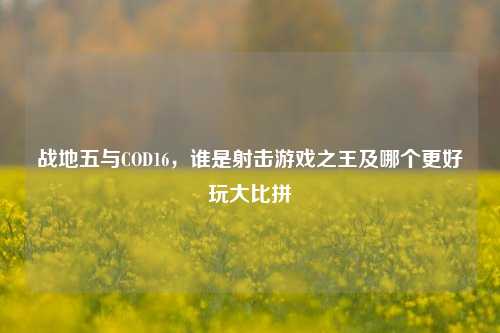 战地五与COD16，谁是射击游戏之王及哪个更好玩大比拼