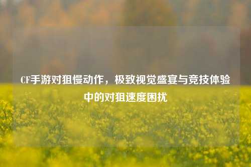CF手游对狙慢动作，极致视觉盛宴与竞技体验中的对狙速度困扰