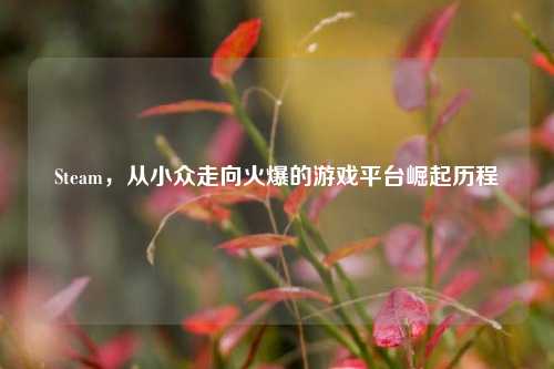 Steam，从小众走向火爆的游戏平台崛起历程